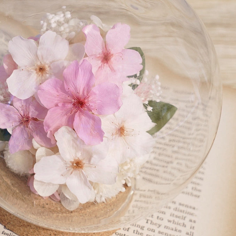 ガラスドームM/桜