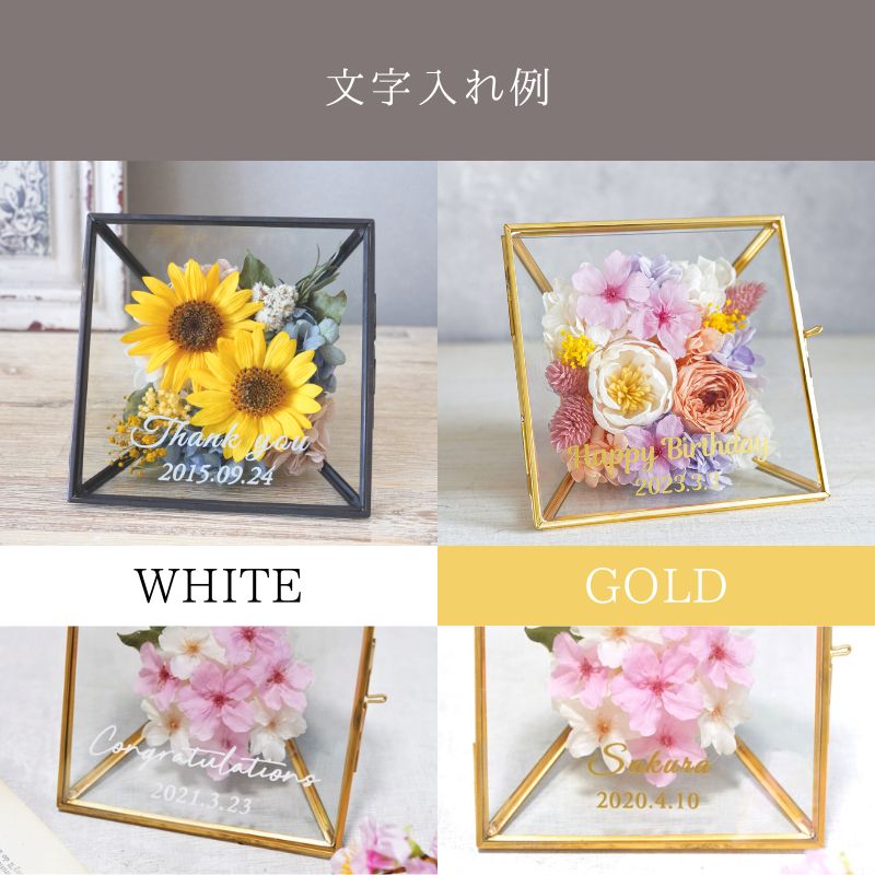 コフレ/ひまわりGD