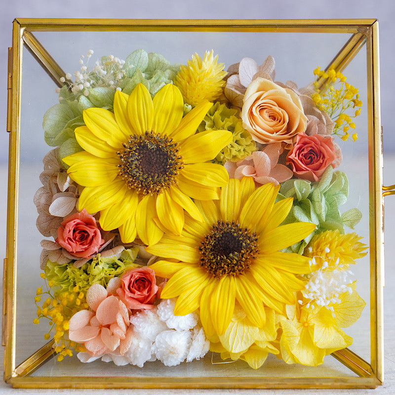 コフレ/ひまわりGD