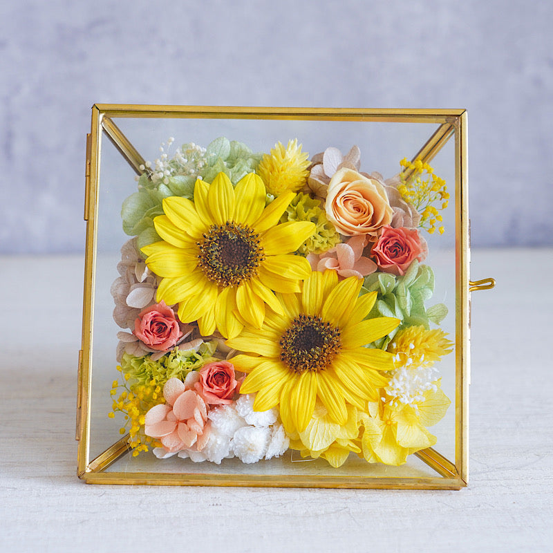 コフレ/ひまわりGD