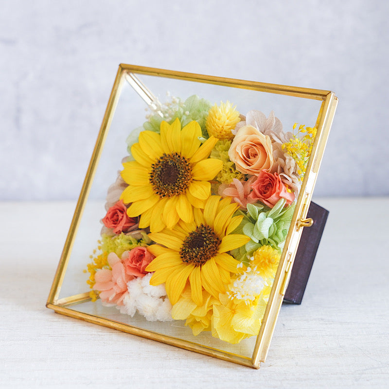 コフレ/ひまわりGD