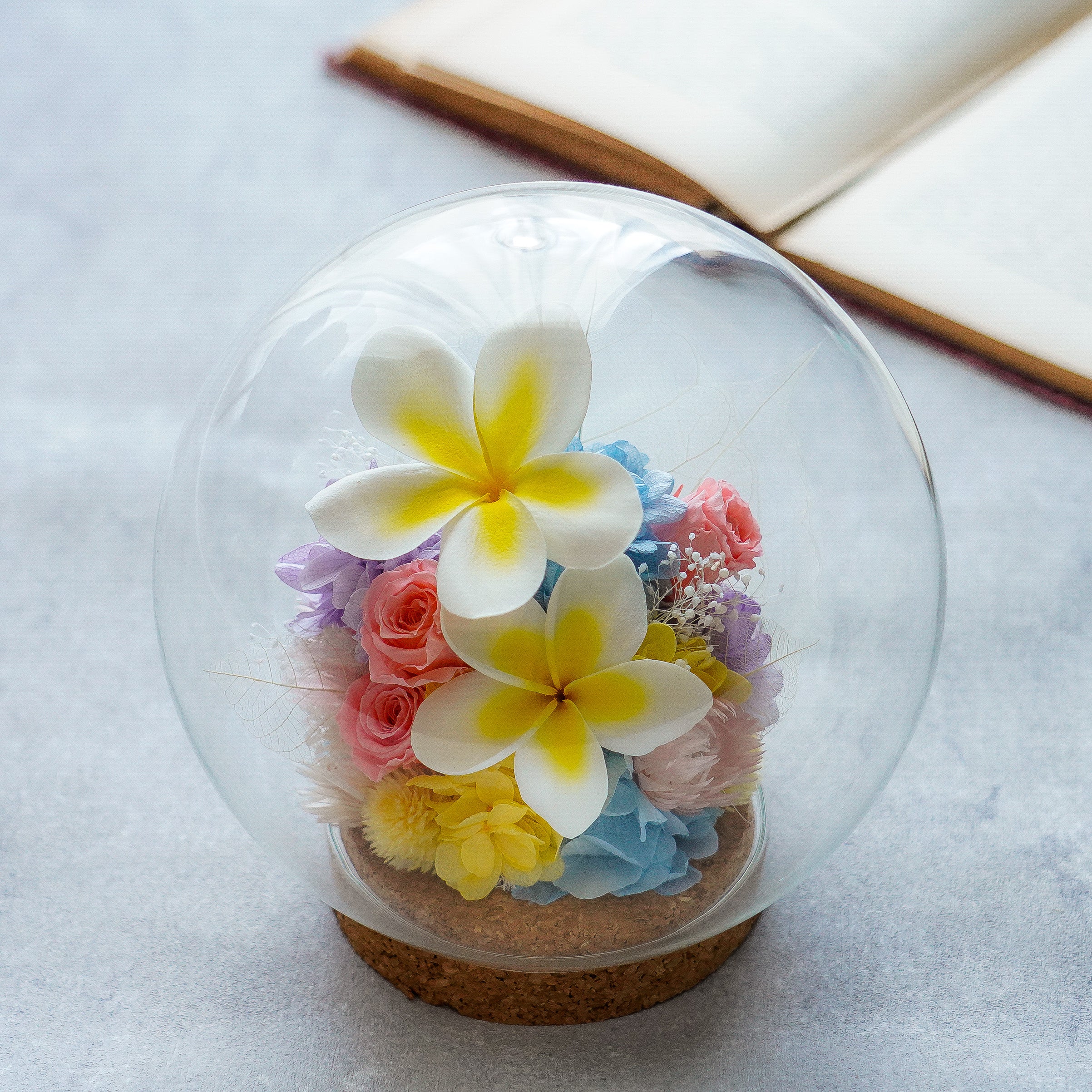 ガラスドームL/プルメリア