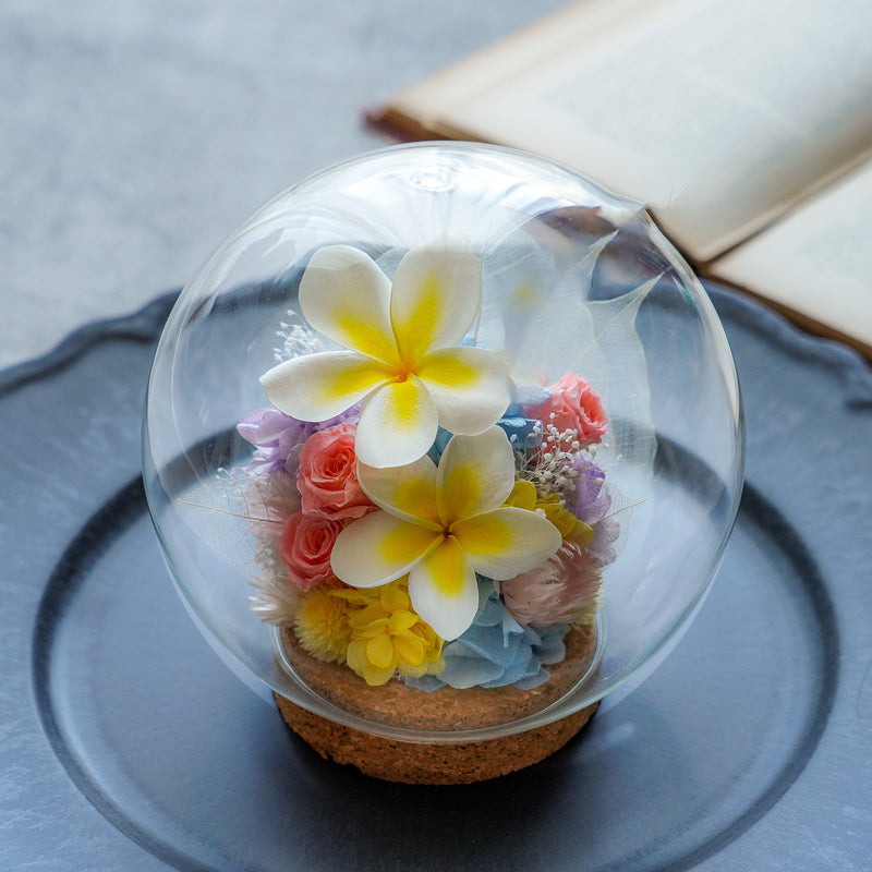 ガラスドームL/プルメリア