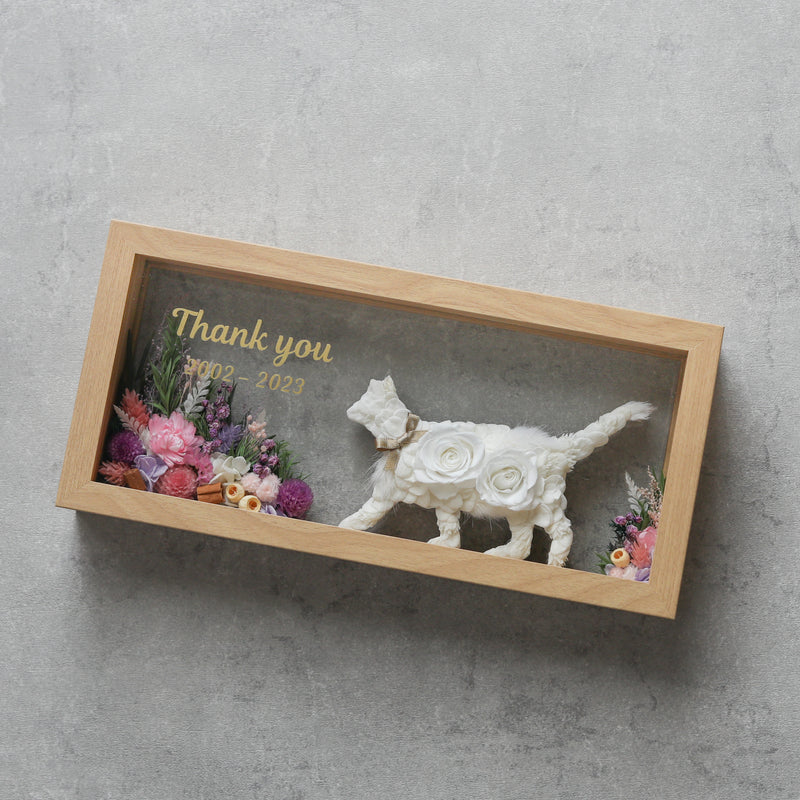 猫の散歩道ML・ナチュラル /全7色