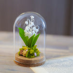［完成品］ガラスドームＳ／スズランの花畑